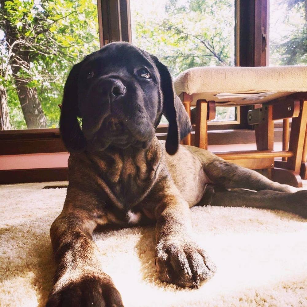 Meet your Posher, Kara